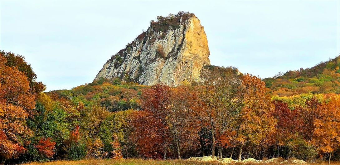 Гора Медовая Железноводск Фото